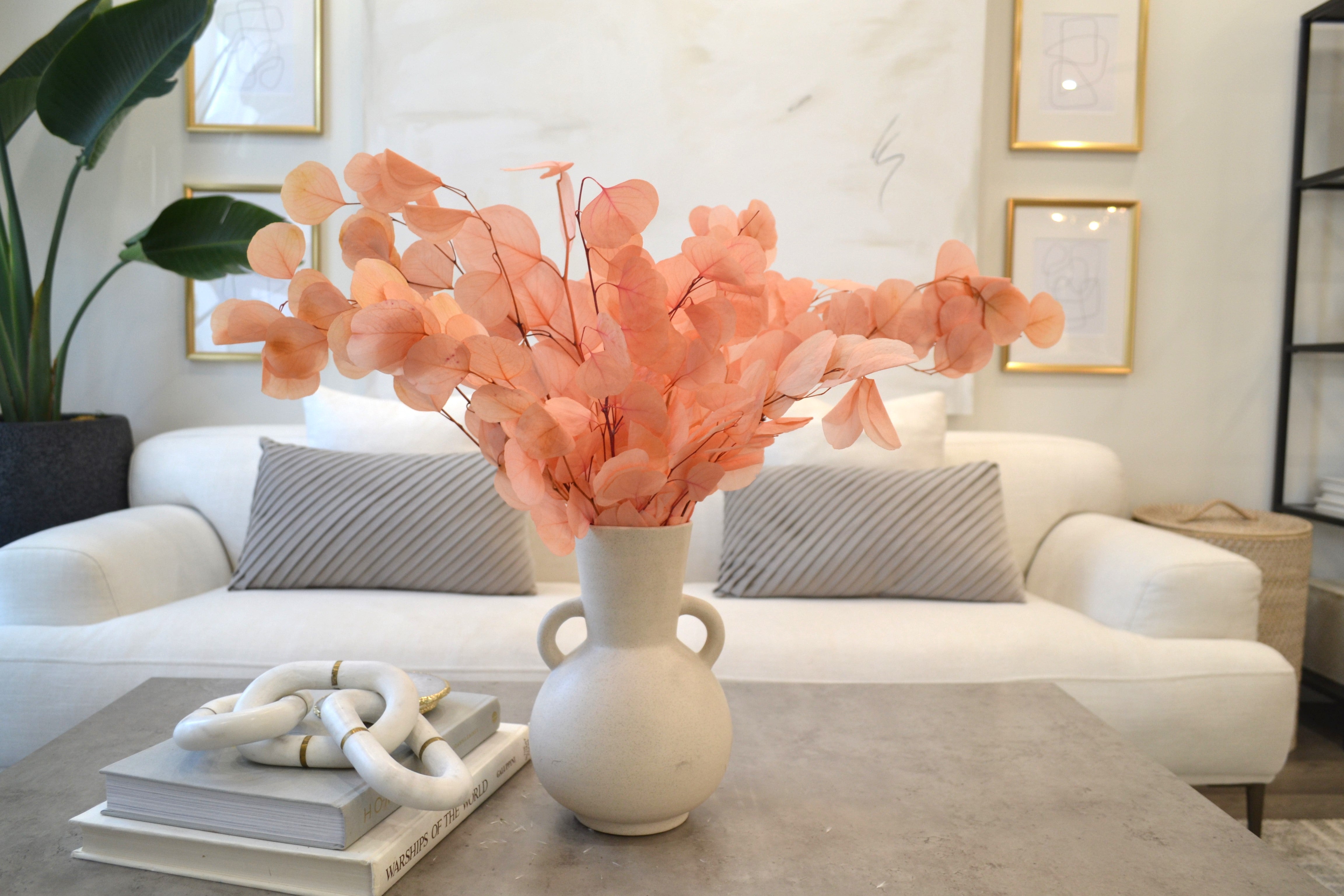 Silver Dollar Eucalyptus